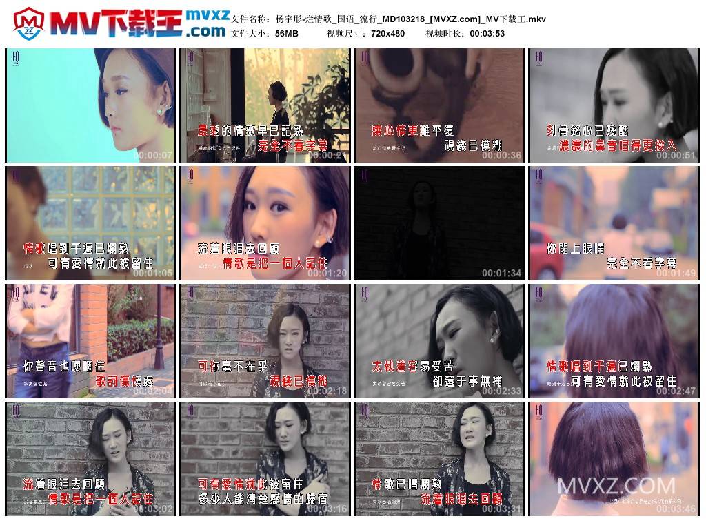 杨宇彤-烂情歌_国语_流行_MD103218